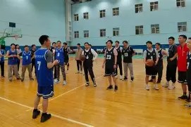 米乐官方网站-黄蜂势不可挡，持续保持领先优势(秒懂百科黄蜂)