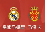 米乐-关于瓦伦西亚客场逆转马略卡继续西甲前四的信息