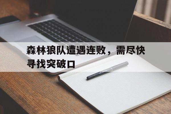 森林狼队阵容名单最新 森林狼队阵容名单最新